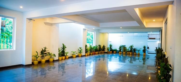 酸橙树豪华工作室(Lime Tree Luxury Studio - Service Apartment Near Artemis Hospital ,Gurgaon)图片
