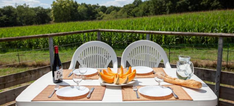 奥莉迪亚斯卡森酒店(Olydea la Chalosse - Cassen)图片