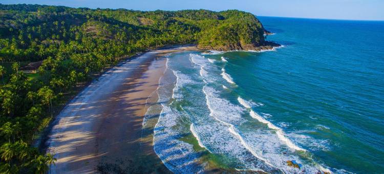 班布酒店(Pousada Bambu)图片