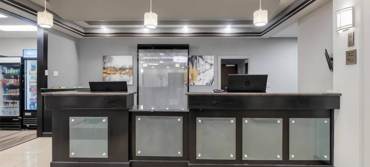 JFK贝斯特韦斯特优质套房酒店(Best Western Plus JFK Inn  Suites)图片