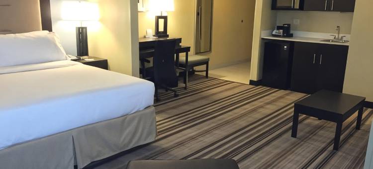 芝加哥NW阿灵顿高地智选假日酒店(Holiday Inn Express Chicago NW - Arlington Heights)图片