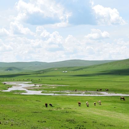 内蒙古锡林浩特+锡林郭勒盟草原+乌拉盖草原4日3晚私家团
