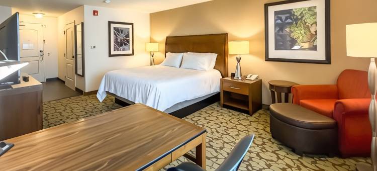 吉尔罗伊希尔顿花园酒店(Hilton Garden Inn Gilroy)图片