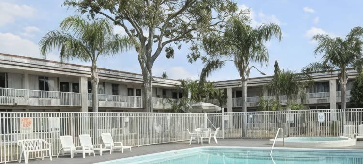 圣彼得斯堡骑士酒店(Quality Inn Saint Petersburg North-Tampa Bay)图片