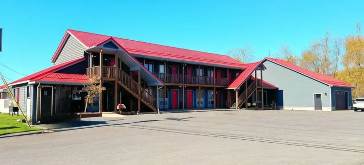 巴哈汽车旅馆(Baja Motel)图片