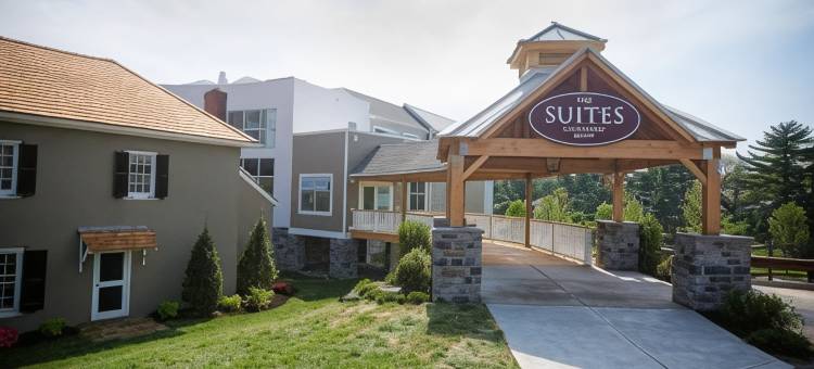 费城斯普林菲尔德庭院(Courtyard Philadelphia Springfield)图片