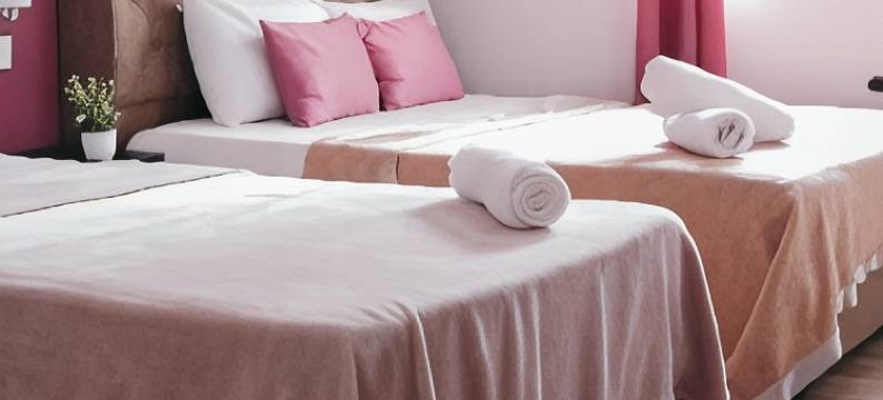 苏拉旅馆(Sura Inn)图片