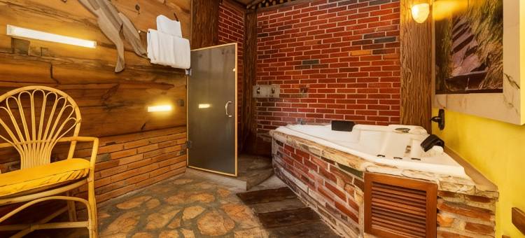 OYO安苏雷斯主题酒店(Collection O Casa Anzures Thematic, Mexico City)图片