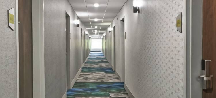 北大急流城希尔顿惠庭酒店(Home2 Suites by Hilton Grand Rapids North)图片