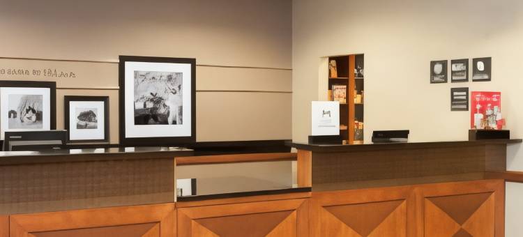 希尔顿欢朋套房酒店-印第安纳波利斯费希尔斯(Hampton Inn & Suites Indianapolis-Fishers)图片