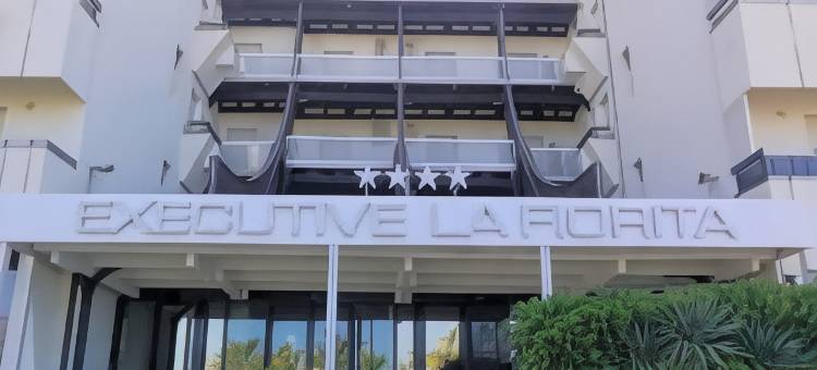 菲奥里塔行政酒店(Hotel Executive la Fiorita)图片