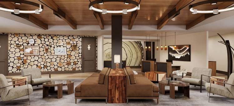 希尔顿度假俱乐部 米尔斯普林斯旅馆 皮金福奇(Hilton Vacation Club Mill Springs Lodge Pigeon Forge)图片