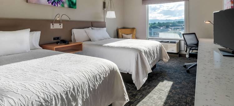 阿瓦达丹佛希尔顿花园酒店(Hilton Garden Inn Arvada Denver, CO)图片