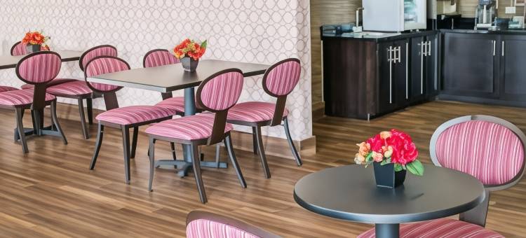 舒适酒店及套房(Comfort Inn & Suites San Marcos)图片