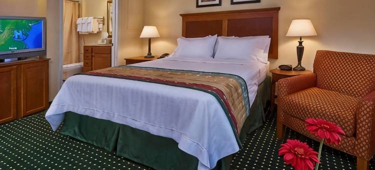 克林顿安德鲁斯联合基地万豪TownePlace Suites酒店(TownePlace Suites Clinton at Joint Base Andrews)图片