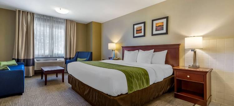 肯纳威克里奇兰舒适酒店(Comfort Inn Kennewick Richland)图片