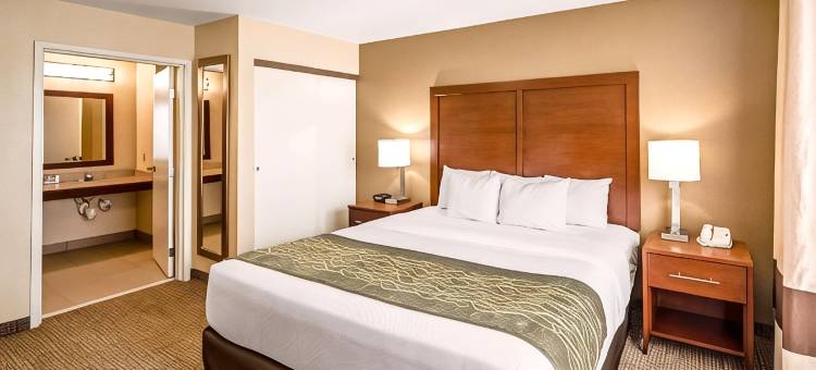 独立舒适套房酒店(Comfort Inn & Suites Independence)图片