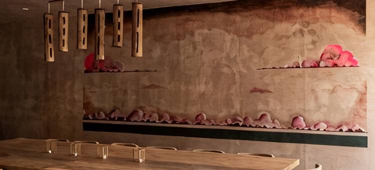 Xela Tulum - Design Hotels成员(Xela Tulum - Member of Design Hotels)图片