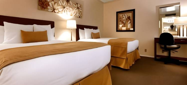 维纳尔伊克诺旅馆套房，靠近恐龙纪念碑(Econo Lodge Inn & Suites Vernal Near Dinosaur Monument)图片