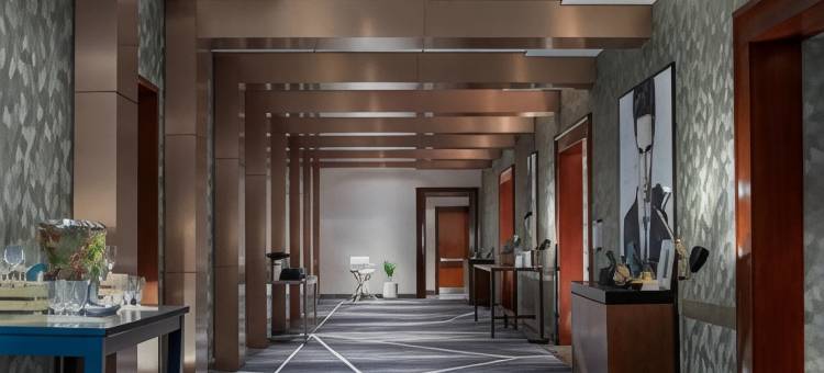 亚特兰大中城万丽酒店(Renaissance Atlanta Midtown Hotel)图片