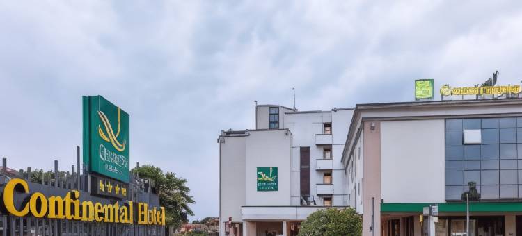 布雷西亚欧式酒店(Hotel Continental Brescia)图片
