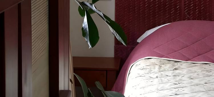 萨邦酒店(Logis Hotel les Sapins)图片