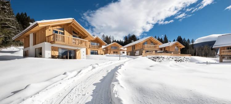 利尔普因特古特(Lerchpeuntgut Almchalets)图片
