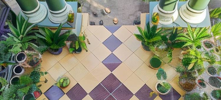 Penginapan Verlo图片