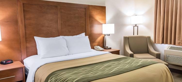 凯艺酒店(Quality Inn)图片