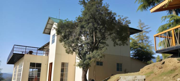 Clarks Exotica Rajgarh图片