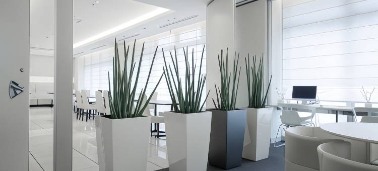 清水我的居所酒店(HOTEL MYSTAYS Shimizu)图片