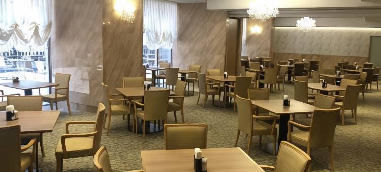 神户三宫光辉酒店(Kobe Luminous Hotel Sannomiya)图片