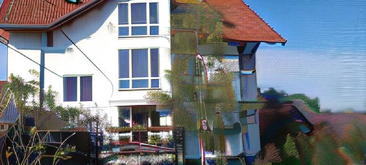 热恩尼翁旅馆(Pensiunea Riunione)图片