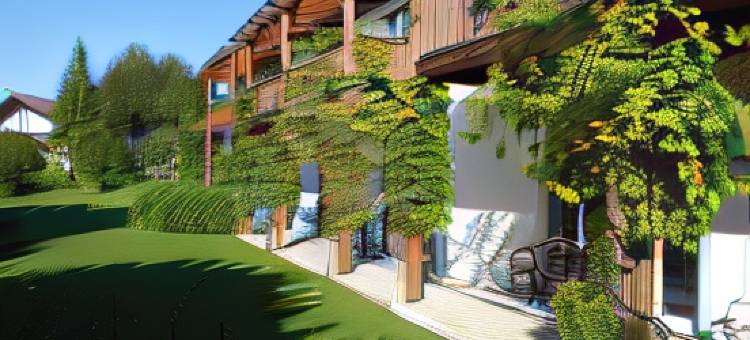 木屋谷酒店(Chalet Valley)图片