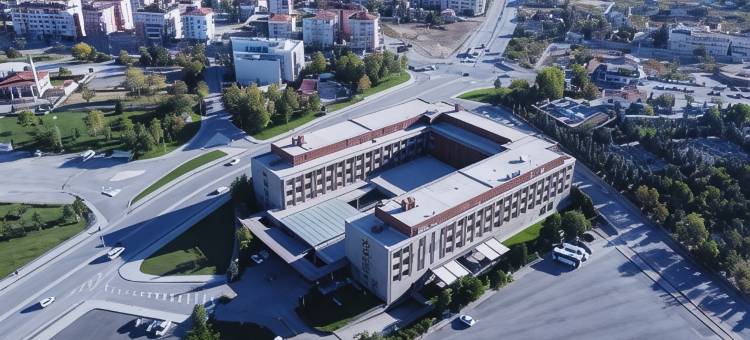科尼亚希尔顿花园酒店(Hilton Garden Inn Konya)图片