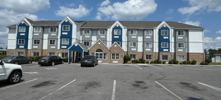 Microtel Inn & Suites by Wyndham Albertville图片