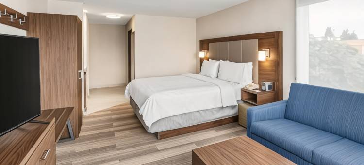 智选假日套房酒店塔科马(Holiday Inn Express & Suites Tacoma)图片