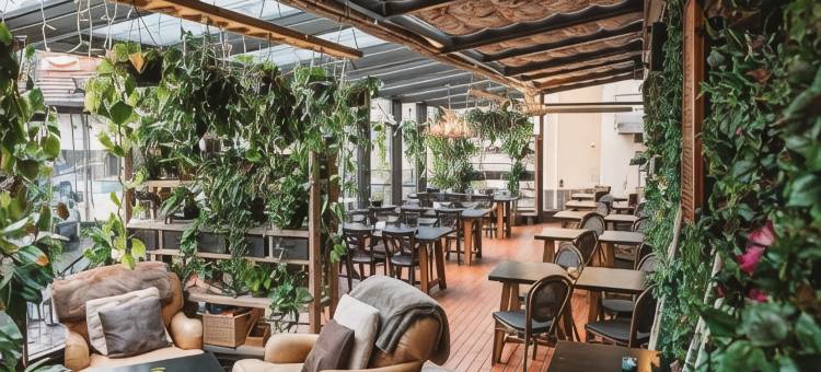 北极之光酒店(Arctic Light Hotel)图片