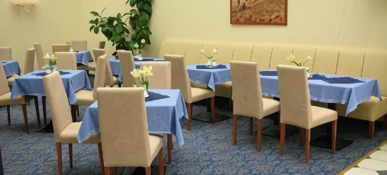 布鲁克瑙温泉酒店(Badhotel Bad Brückenau)图片