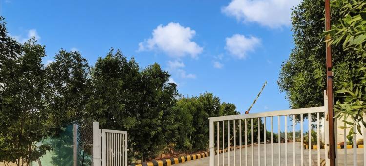 Chandana Green View Resort图片