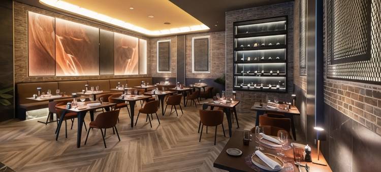 里乌安提拉斯宫酒店 - 限成人- 全包(Riu Palace Antillas - Adults Only - All Inclusive)图片