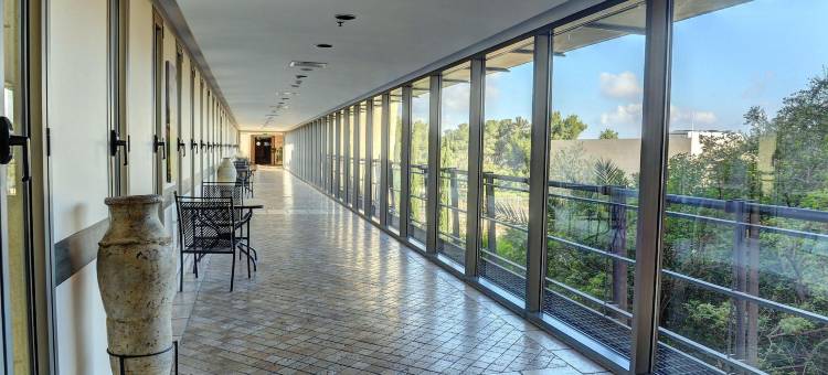 赖维吉布茨集体公社酒店(Lavi Kibbutz Hotel)图片