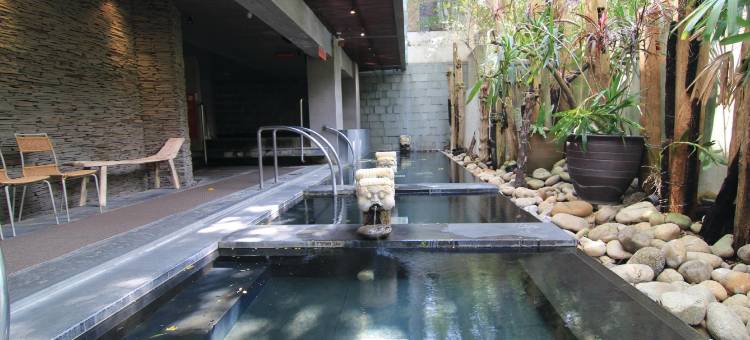 露泉度假温泉馆图片