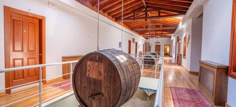 阿尔玛格兰蒂波扎亚达特殊类别酒店(Armagrandi Hotel Bozcaada-Special Category)图片