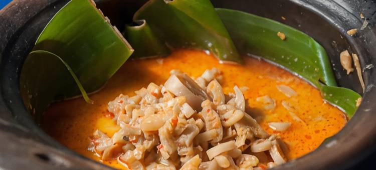 Billi家庭(Billi Family)图片