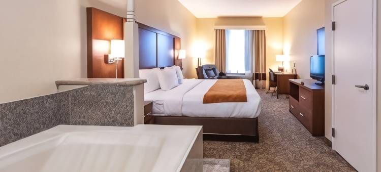 舒适套房酒店-近德克萨斯医学中心NRG体育场(Comfort Suites Near Texas Medical Center - NRG Stadium)图片