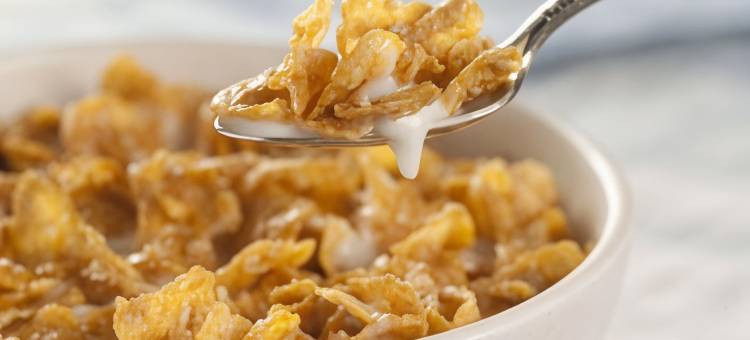 阿尔玛汽车旅馆(Alma Motel)图片