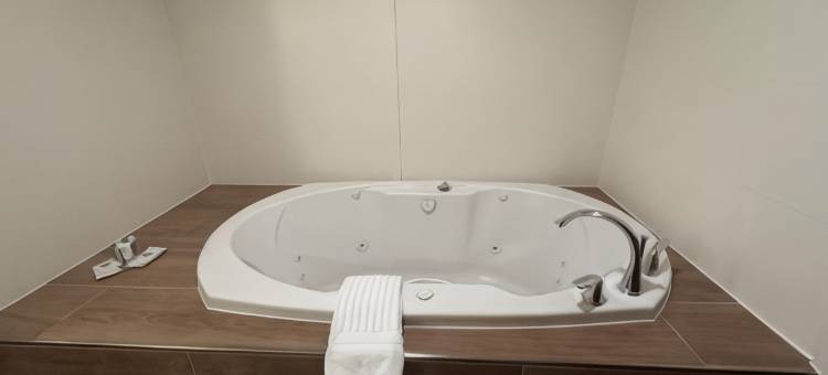 舒适套房酒店-近丹佛市区(Comfort Suites Near Denver Downtown)图片