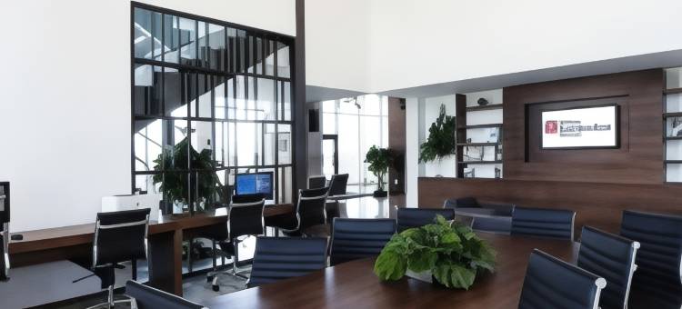 梅尼达希尔顿花园酒店(Hilton Garden Inn Merida)图片