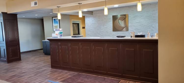 迪凯特-福赛斯舒适套房酒店(Comfort Inn & Suites Decatur-Forsyth)图片